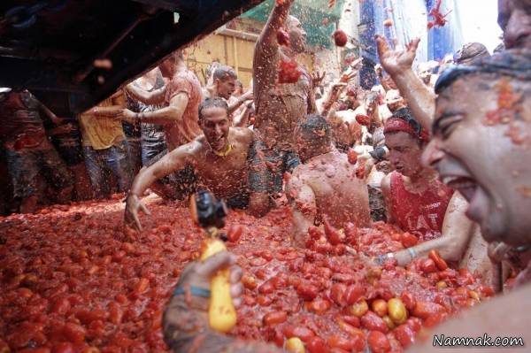 جشنواره گوجه فرنگی