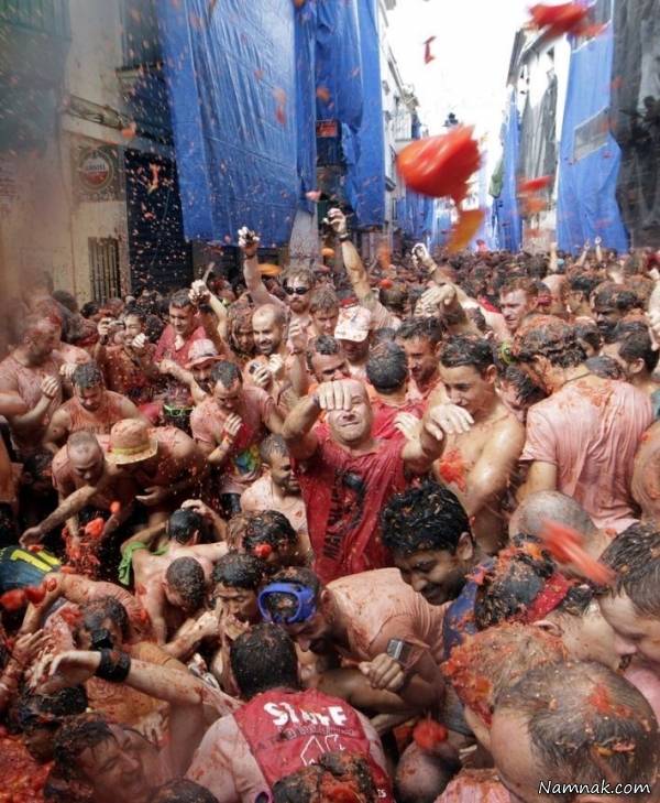 جشنواره گوجه فرنگی گوجه فرنگی