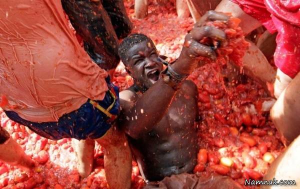 جشنواره گوجه فرنگی گوجه فرنگی