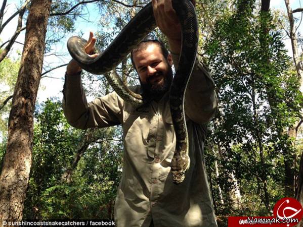 مار حمله مارها