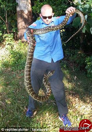 حمله مارها به انسان حمله مارها