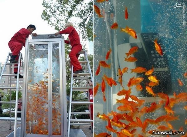 کیوسک تلفن تلفن همگانی