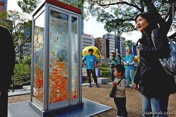 کیوسک تلفن تلفن همگانی