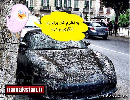 عکسهای خنده دار