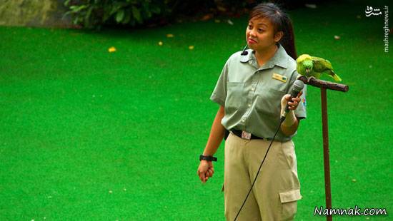 گردشگری باغ پرندگان