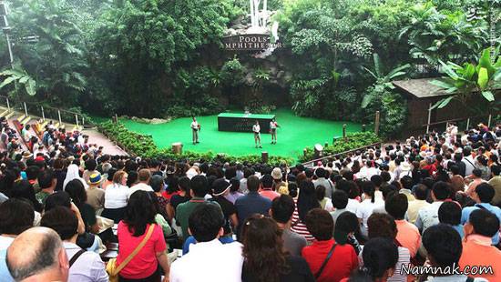 باغ باغ پرندگان