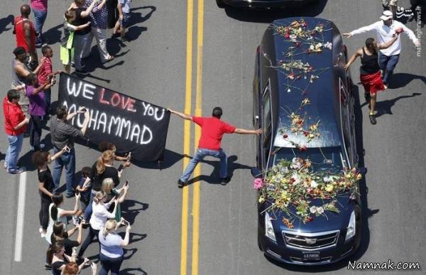 برترین تصاویر