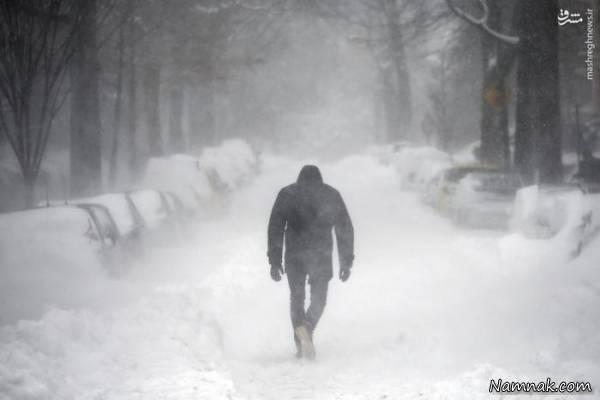 برترین تصاویر