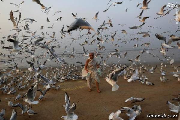 برترین تصاویر