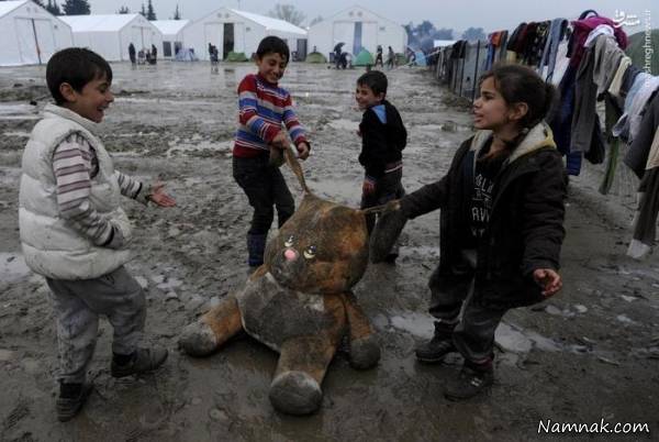 برترین تصاویر