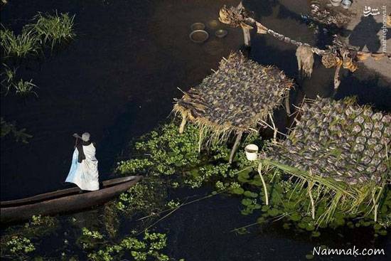 زندگی بر روی باتلاق در سودان باتلاق