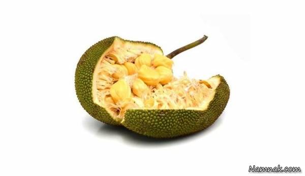 میوه ای بنام جک فروت که طعم گوشت می دهد+عکس میوه جک فروت