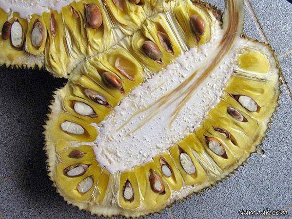 میوه ای بنام جک فروت که طعم گوشت می دهد+عکس میوه جک فروت