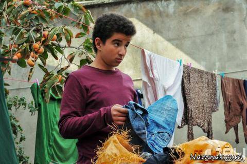 جشنواره فیلم فجر