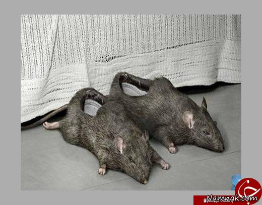 کفش های عجیب