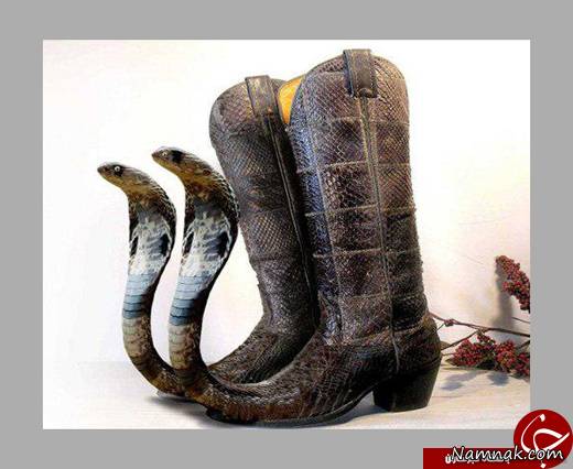 کفش های عجیب