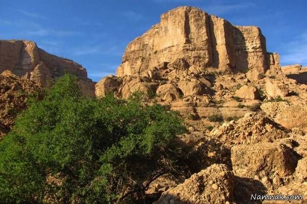 تنگوان اندیمشک