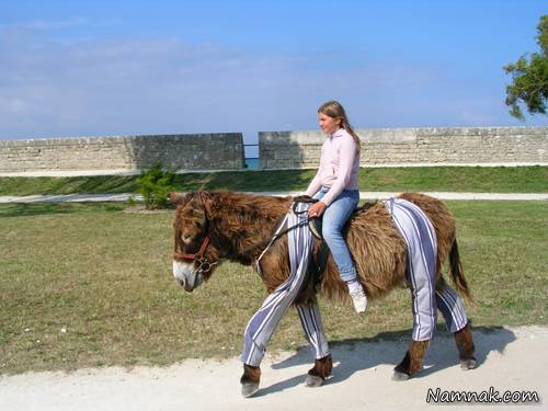 جاذبه های گردشگری