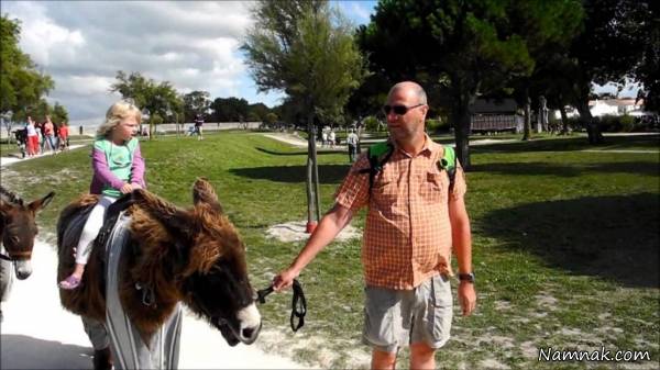 جاذبه های گردشگری