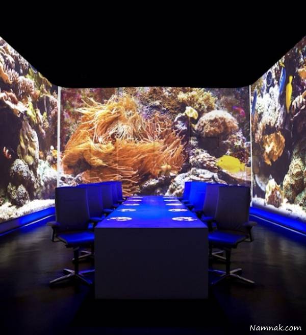 گرانترین غذاها در سراسر جهان + عکس گرانترین غذاها