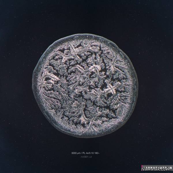 شگفتی قطرات اشک در زیر میکروسکوپ قطرات اشک