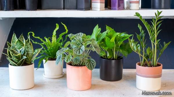 با ترفند های خوشبو کردن طبیعی خانه آشنا شوید خوشبو کردن خانه