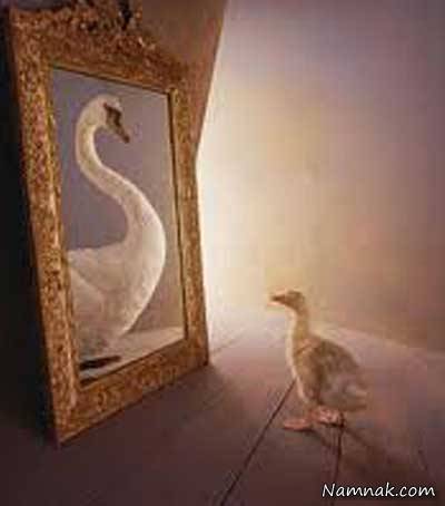 رایان هالیدی