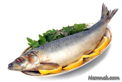 تغذیه مناسب