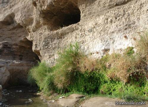 انسان های اولیه