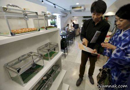 نوشیدن یک فنجان قهوه در کافی شاپ مارها + عکس کافی شاپ مارها