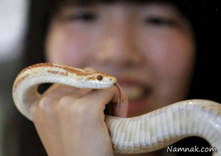 نوشیدن یک فنجان قهوه در کافی شاپ مارها + عکس کافی شاپ مارها