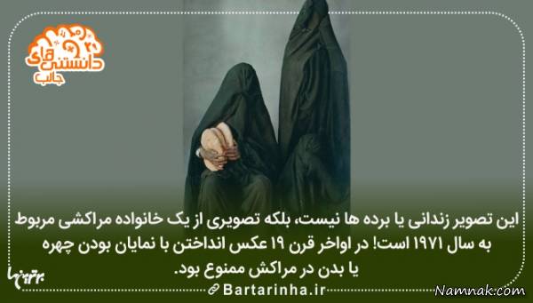 دانستنی های جالب