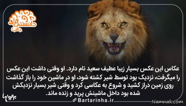 دانستنی های جالب