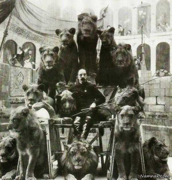 سیرکی در روسیه با حیوانات وحشی