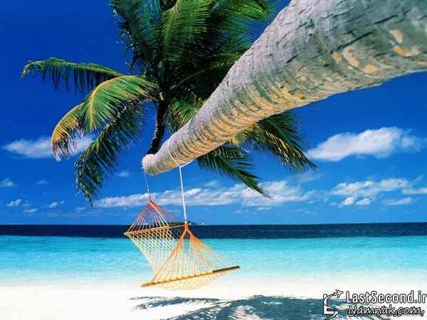 مناظر دیدنی