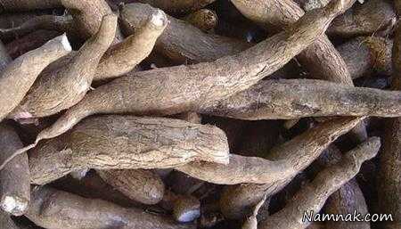 کاساو تلخ غذاهای خارجی خطرناک