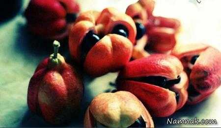 آکه میوه ای در جامائیکا غداهای خارجی که خوردنشان ریسک دارد