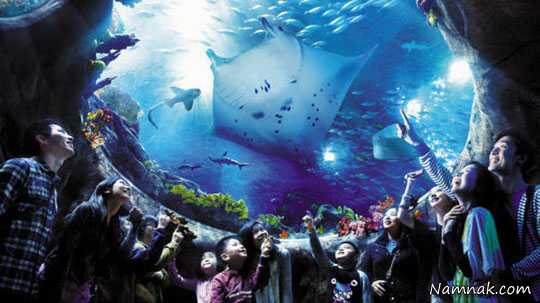 هنگ کنک شهری دیدنی عکس زیباترین شهرهای جهان از نگاه گردشگران