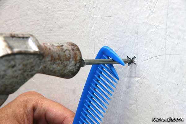 روش ثابت کردن میخ با استفاده از شانه