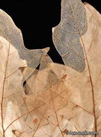 کاسه های ظریف 