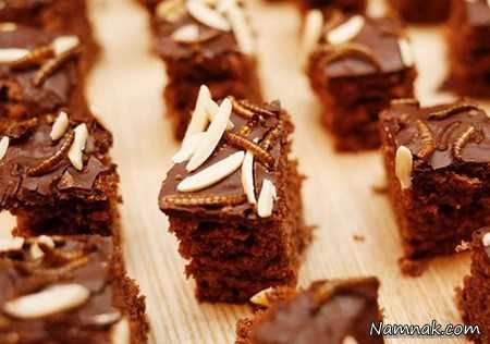 کیک و کلوچه زنبور خوردن انواع غذای حشرات