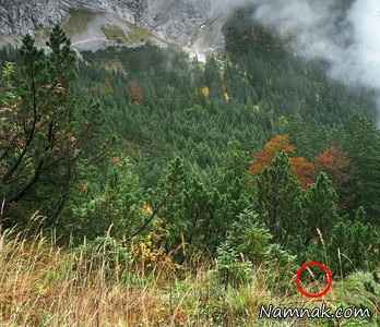 تک تیرانداز مخفی شده در تصویر