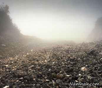 تک تیرانداز مخفی شده در تصویر