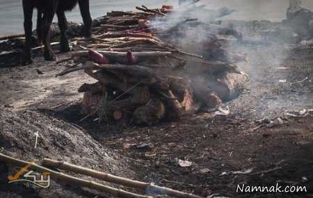 مرده خواران هندی 