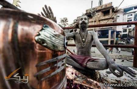 مرده خواران هندی 