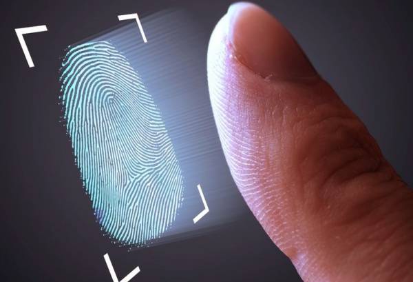  شیارهای اثر انگشت