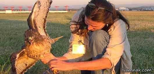 شغل های عجیب دنیا عجیب ترین شغلها در آینده