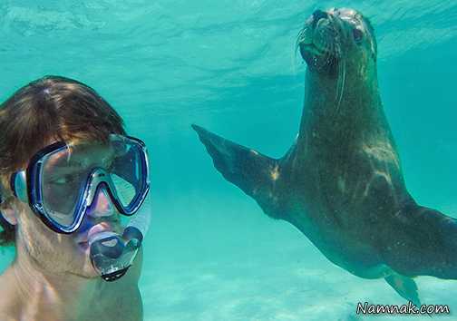 سلفی های جالب با حیوانات