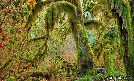 زیباترین مکانهای افسانه ای دنیا