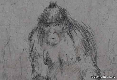 موجود عجیبی که شکار دوربین شد موجود عجیب